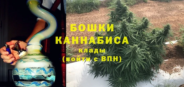 стаф Дмитриев