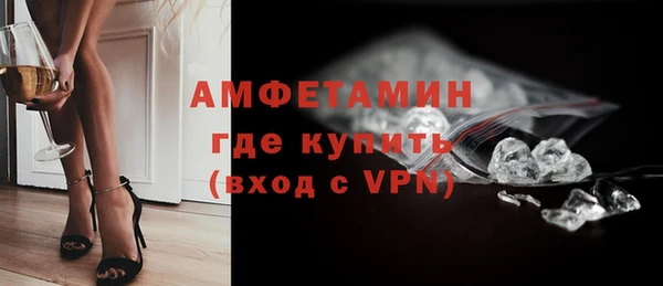 стаф Дмитриев
