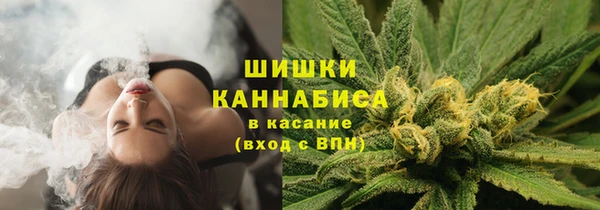крисы Дмитров