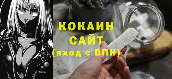крисы Дмитров
